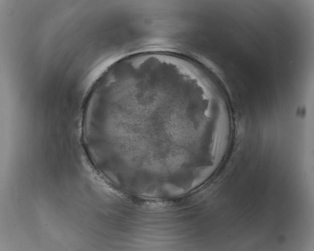 X0000111241415200907161330