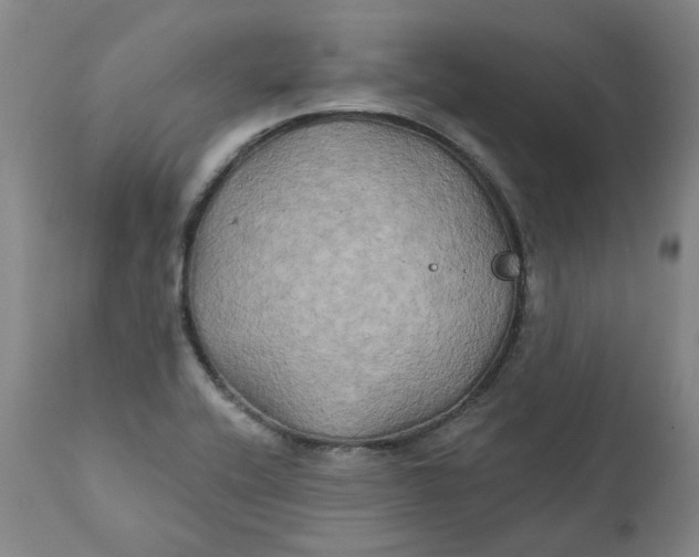 X0000111241416200907161330