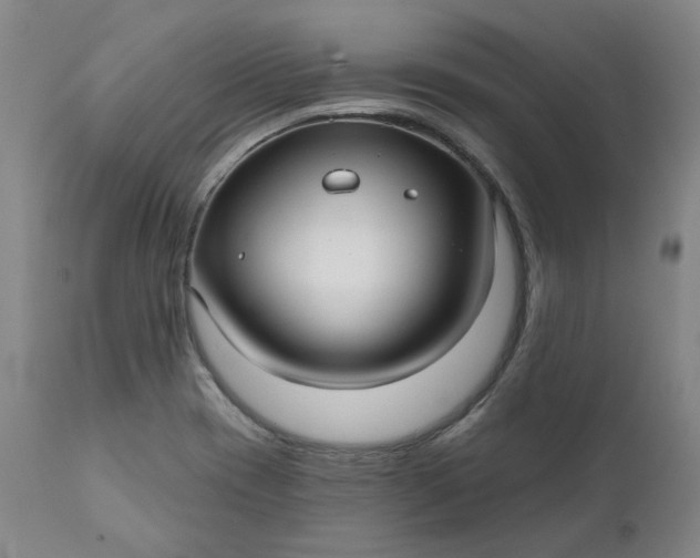 X0000111241417200907161330