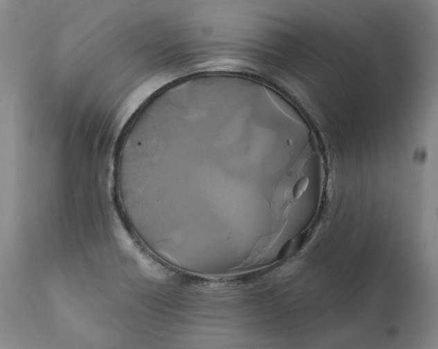 X0000111241418200907161330