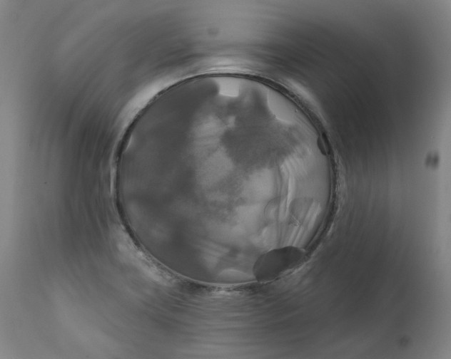 X0000111241419200907161330