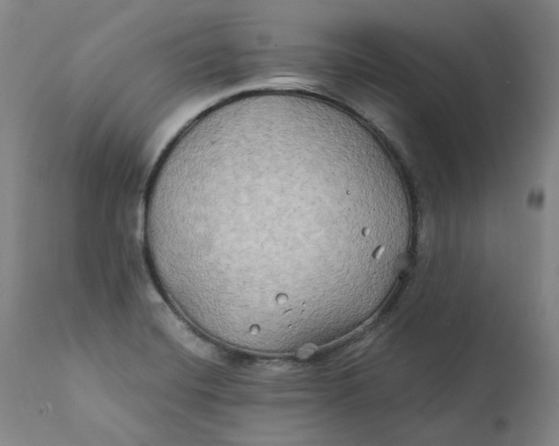 X0000111241420200907161330