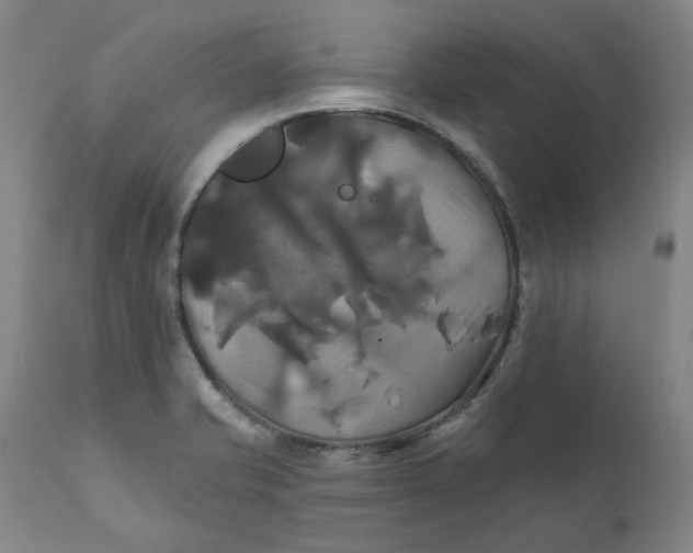 X0000111241421200907161330