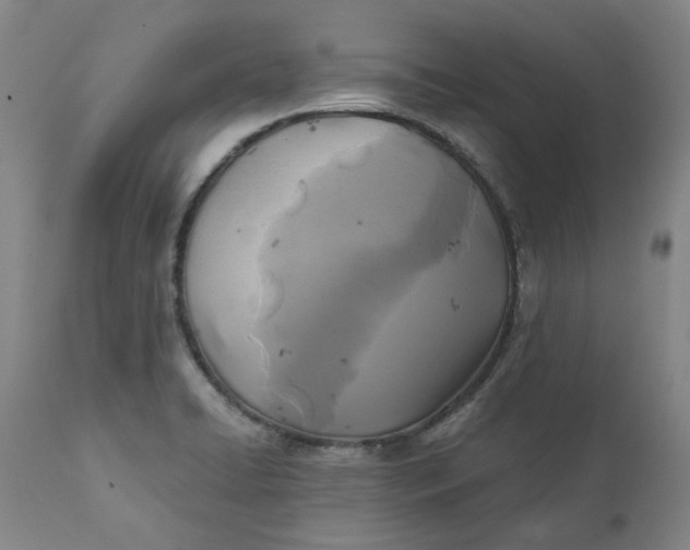 X0000111241422200907161330