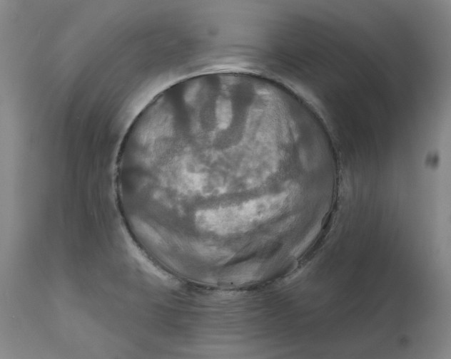 X0000111241423200907161330