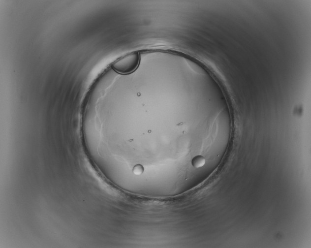 X0000111241424200907161330