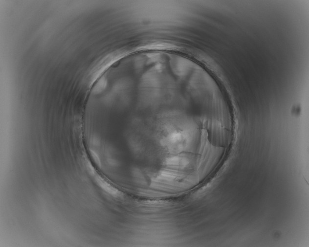 X0000111241425200907161330