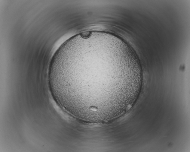 X0000111241426200907161330