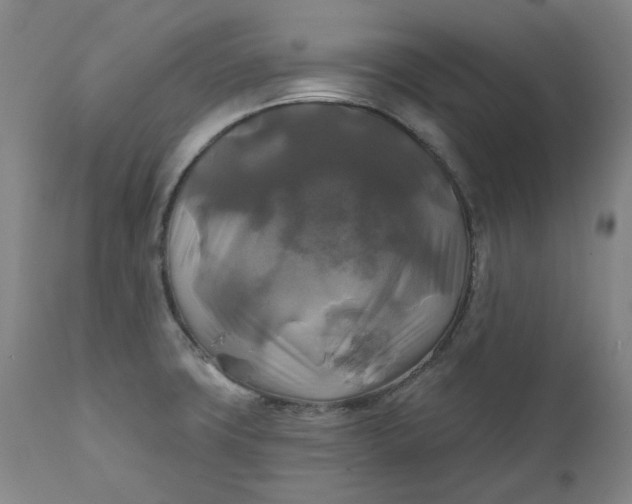 X0000111241427200907161330