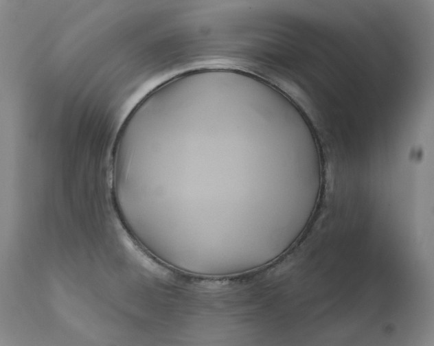 X0000111241428200907161330