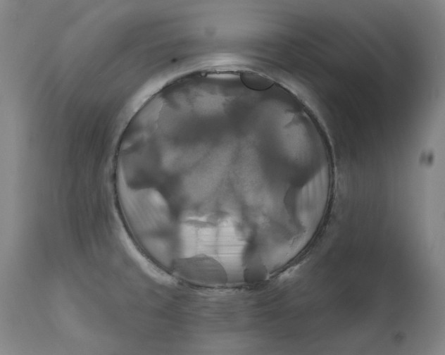 X0000111241429200907161330