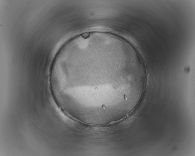 X0000111241430200907161330