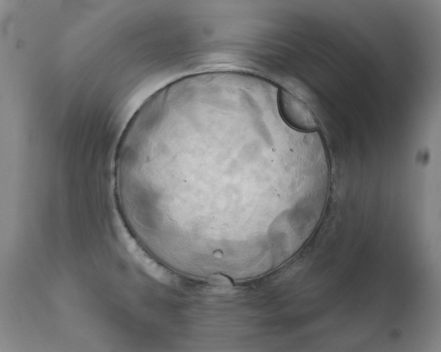 X0000111241431200907161330