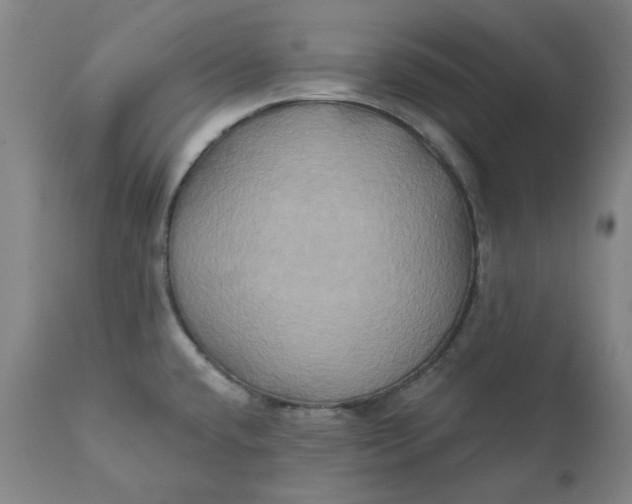 X0000111241432200907161330