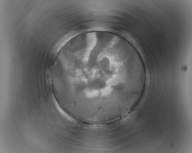 X0000111241433200907161330