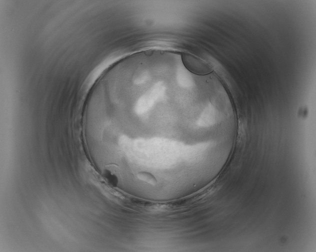 X0000111241435200907161330