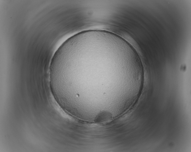 X0000111241436200907161330