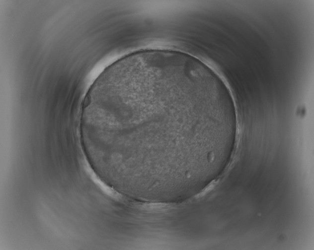 X0000111241437200907161330