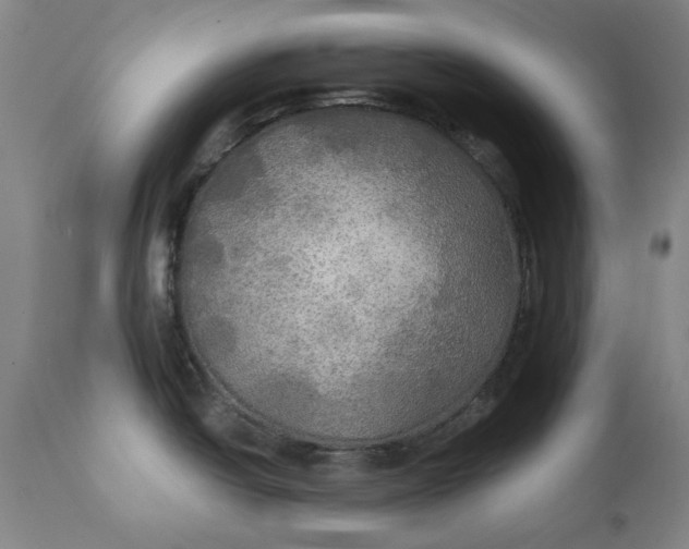 X0000111241438200907161330