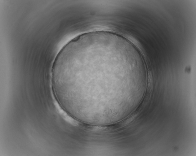 X0000111241439200907161330