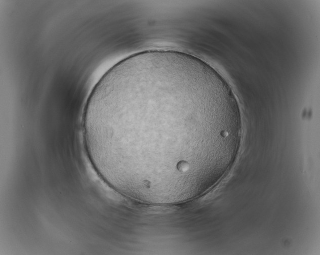 X0000111241440200907161330