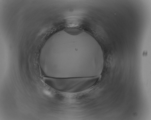 X0000111241441200907161329