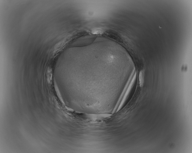 X0000111241443200907161329