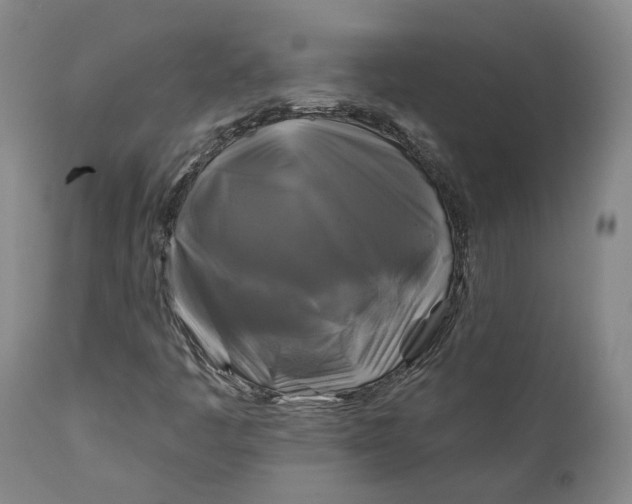 X0000111241445200907161329