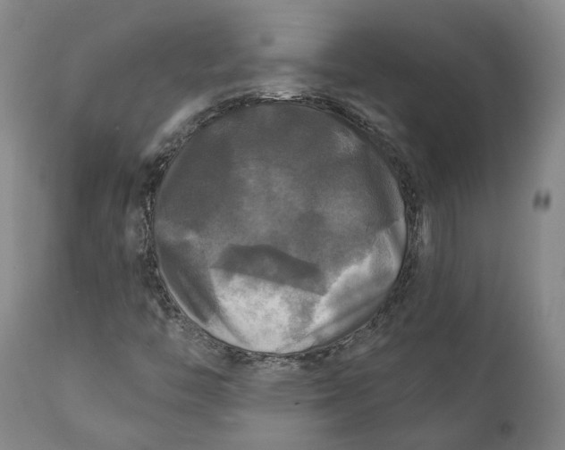 X0000111241446200907161329