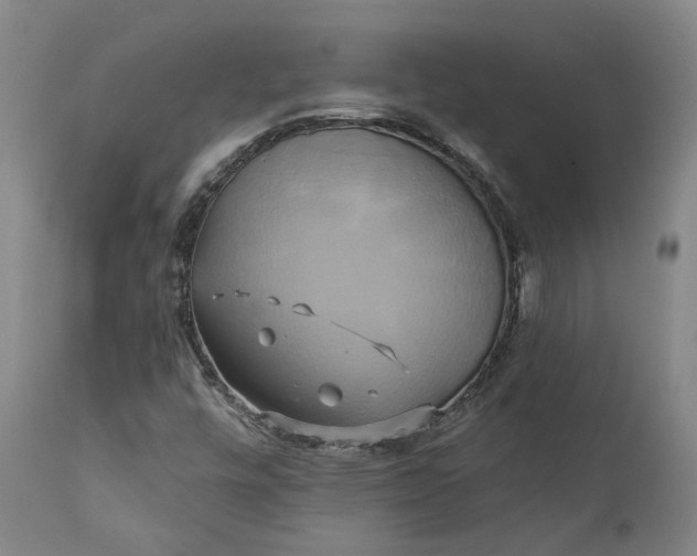 X0000111241448200907161329