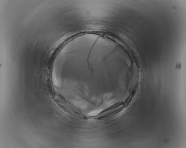 X0000111241449200907161329