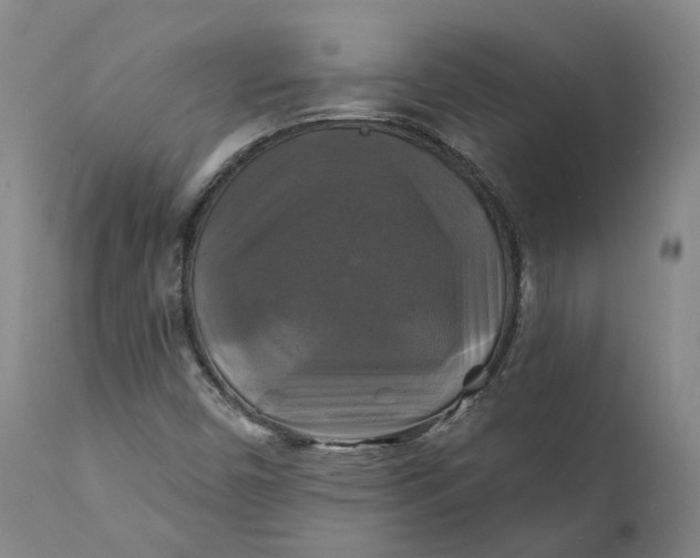 X0000111241450200907161329