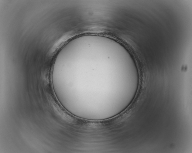 X0000111241451200907161329