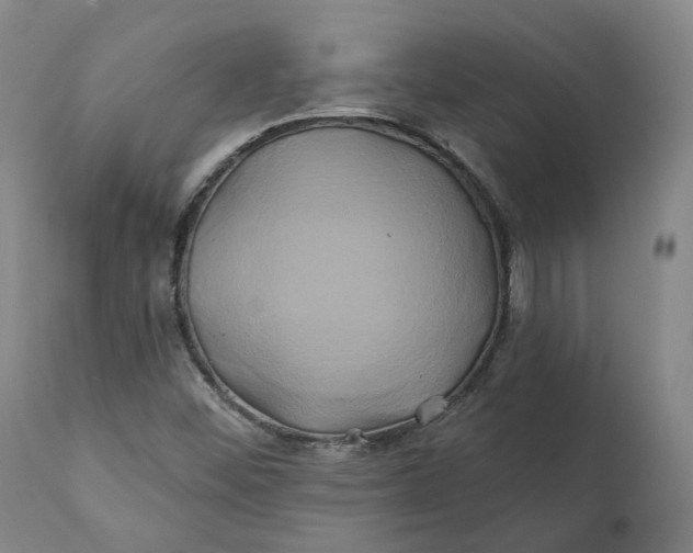 X0000111241452200907161329