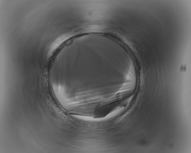 X0000111241453200907161329