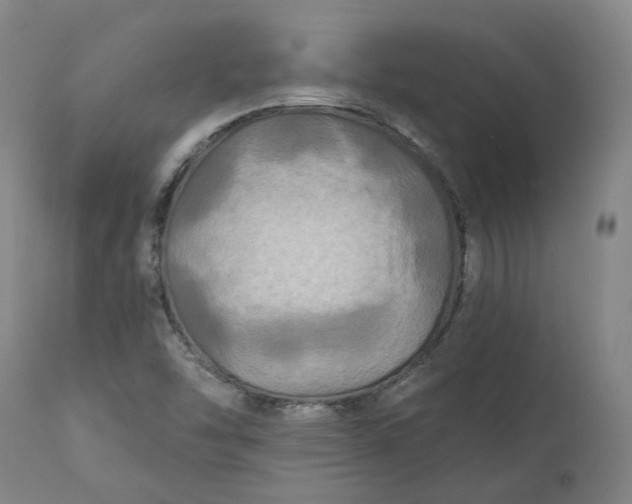 X0000111241454200907161329