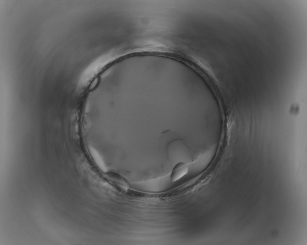 X0000111241455200907161329