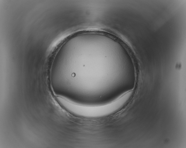 X0000111241456200907161329