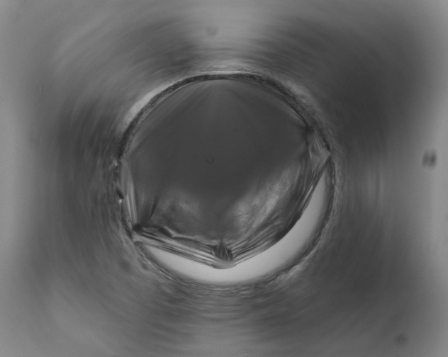 X0000111241457200907161329