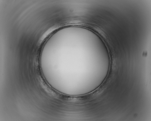 X0000111241458200907161329