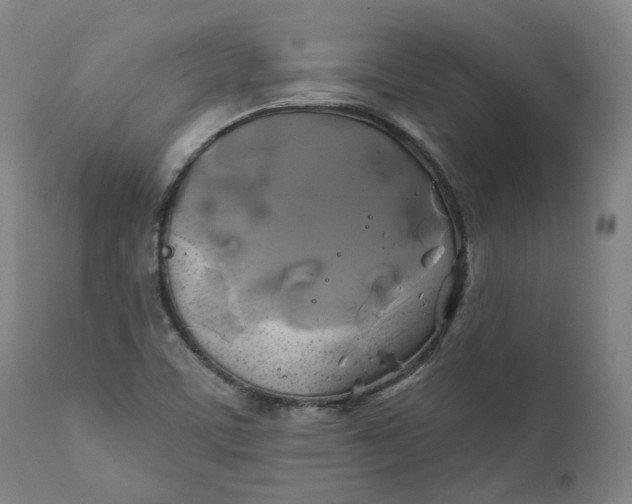 X0000111241459200907161329