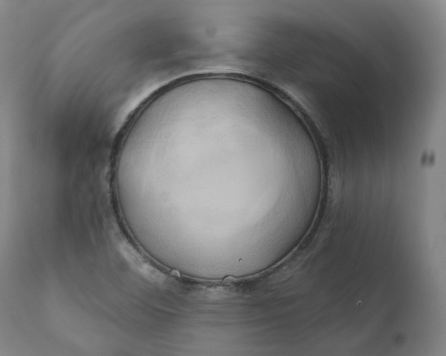 X0000111241460200907161329