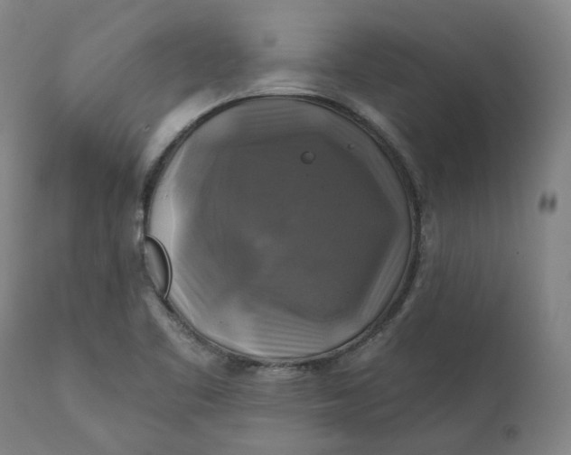 X0000111241461200907161329