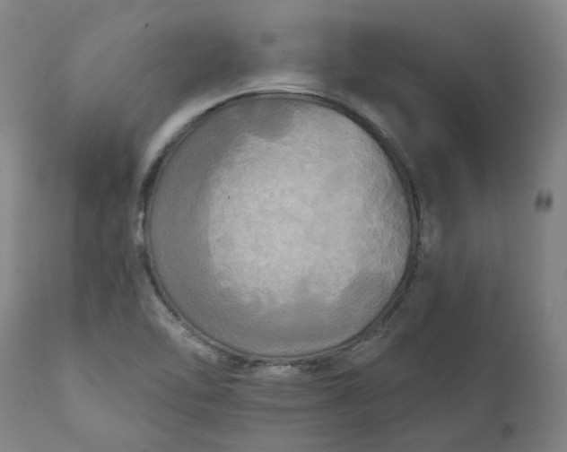 X0000111241462200907161329