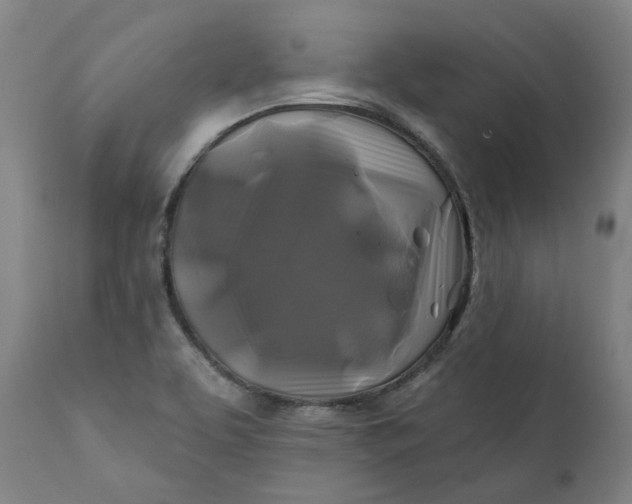 X0000111241463200907161329