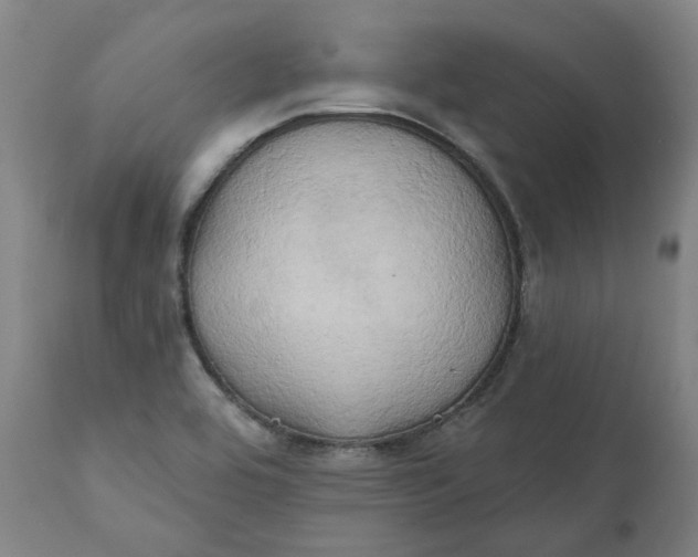 X0000111241464200907161329