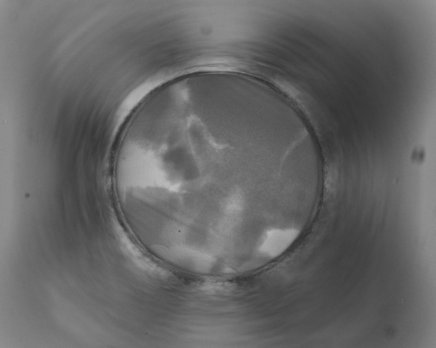 X0000111241466200907161329