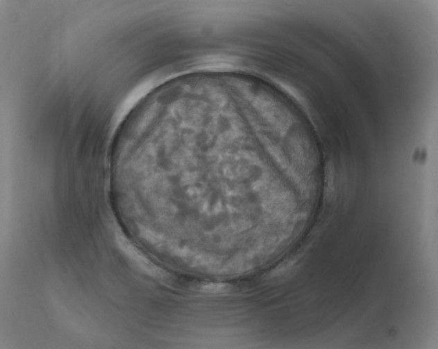 X0000111241467200907161329