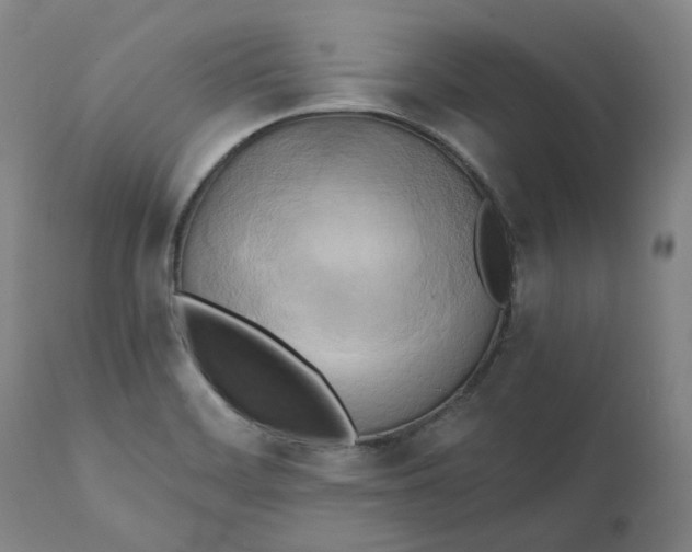 X0000111241468200907161329