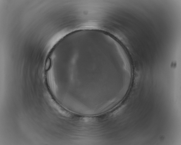 X0000111241469200907161329